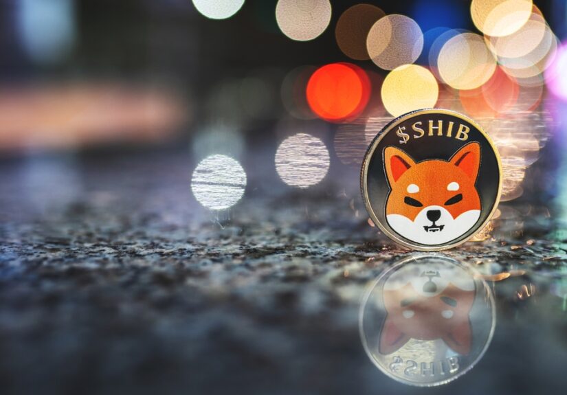 Shiba Inu (SHIB) Gains 16% Following Bitso Listing